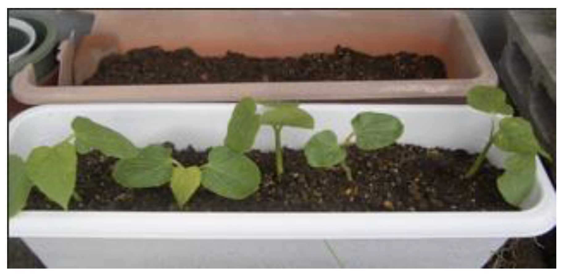 Preprints 121950 g041