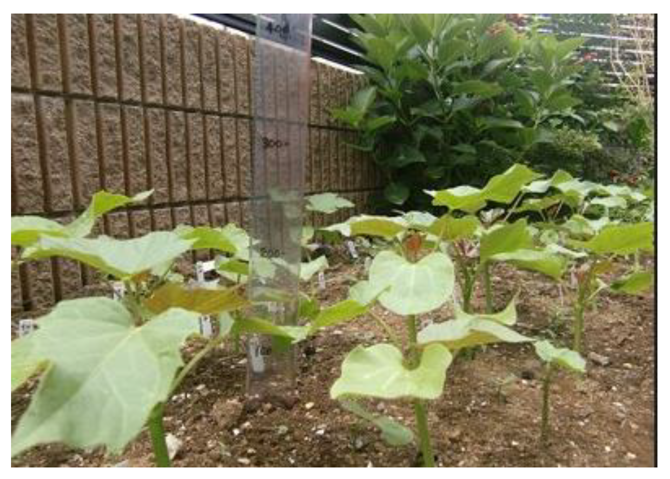 Preprints 121950 g042