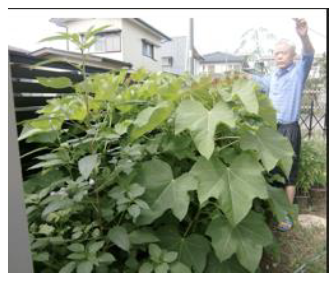 Preprints 121950 g043