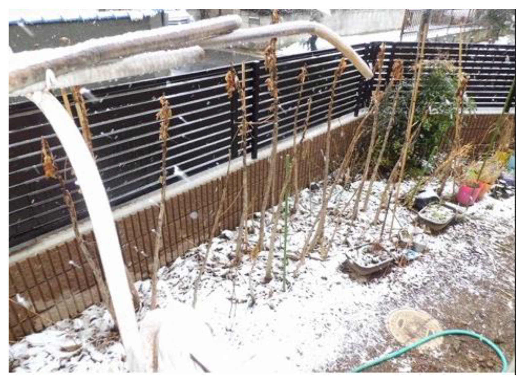 Preprints 121950 g046