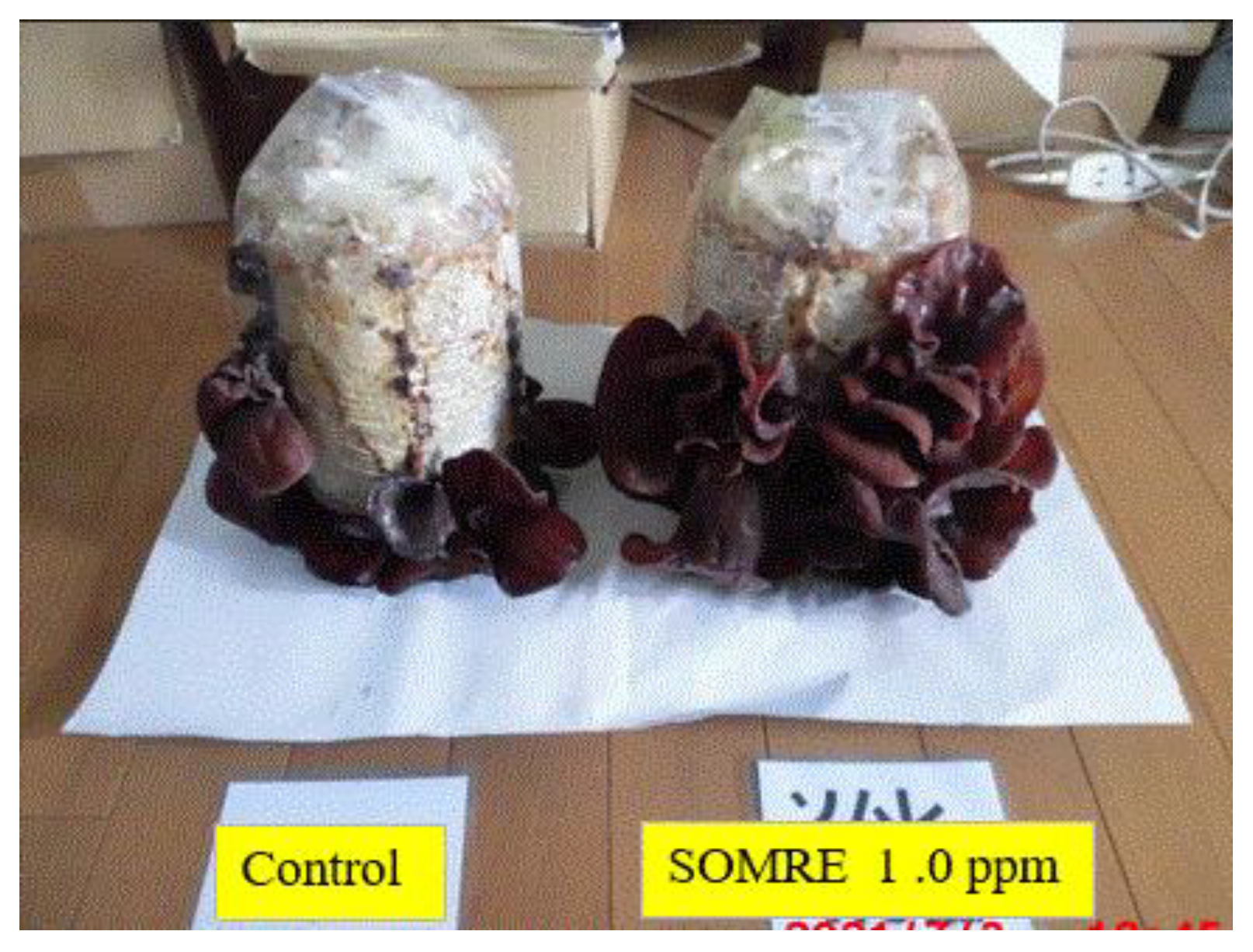 Preprints 121950 g047
