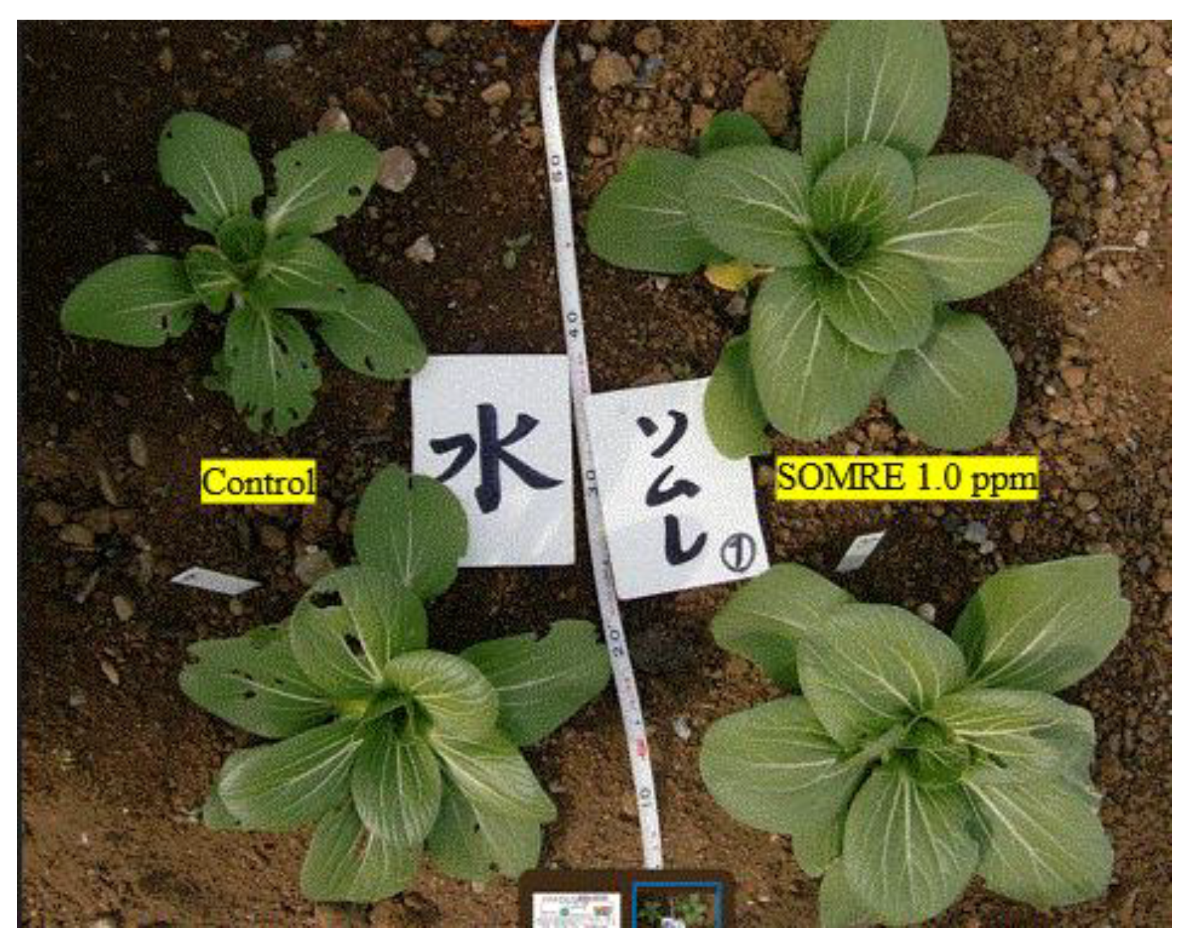 Preprints 121950 g049