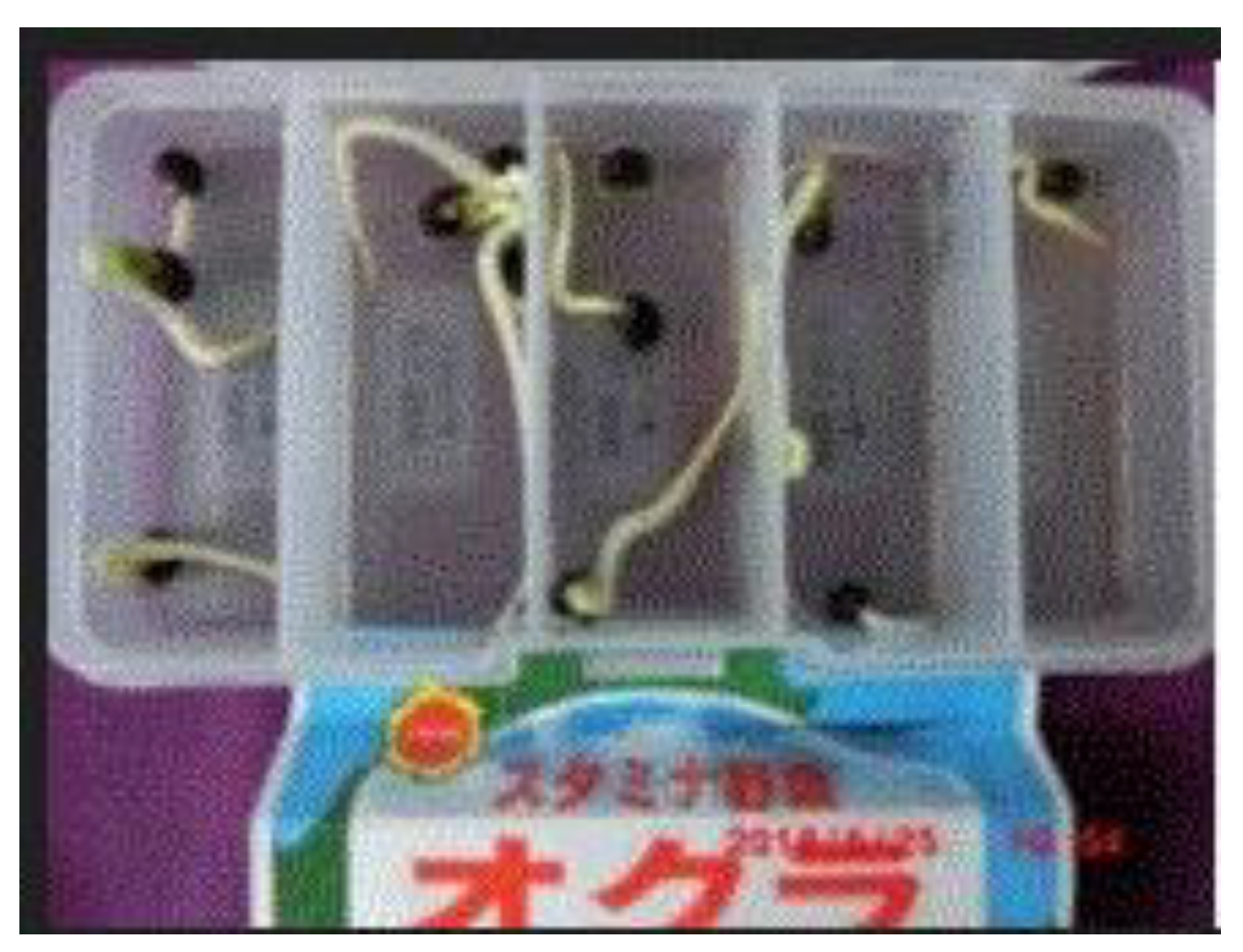 Preprints 121950 g050