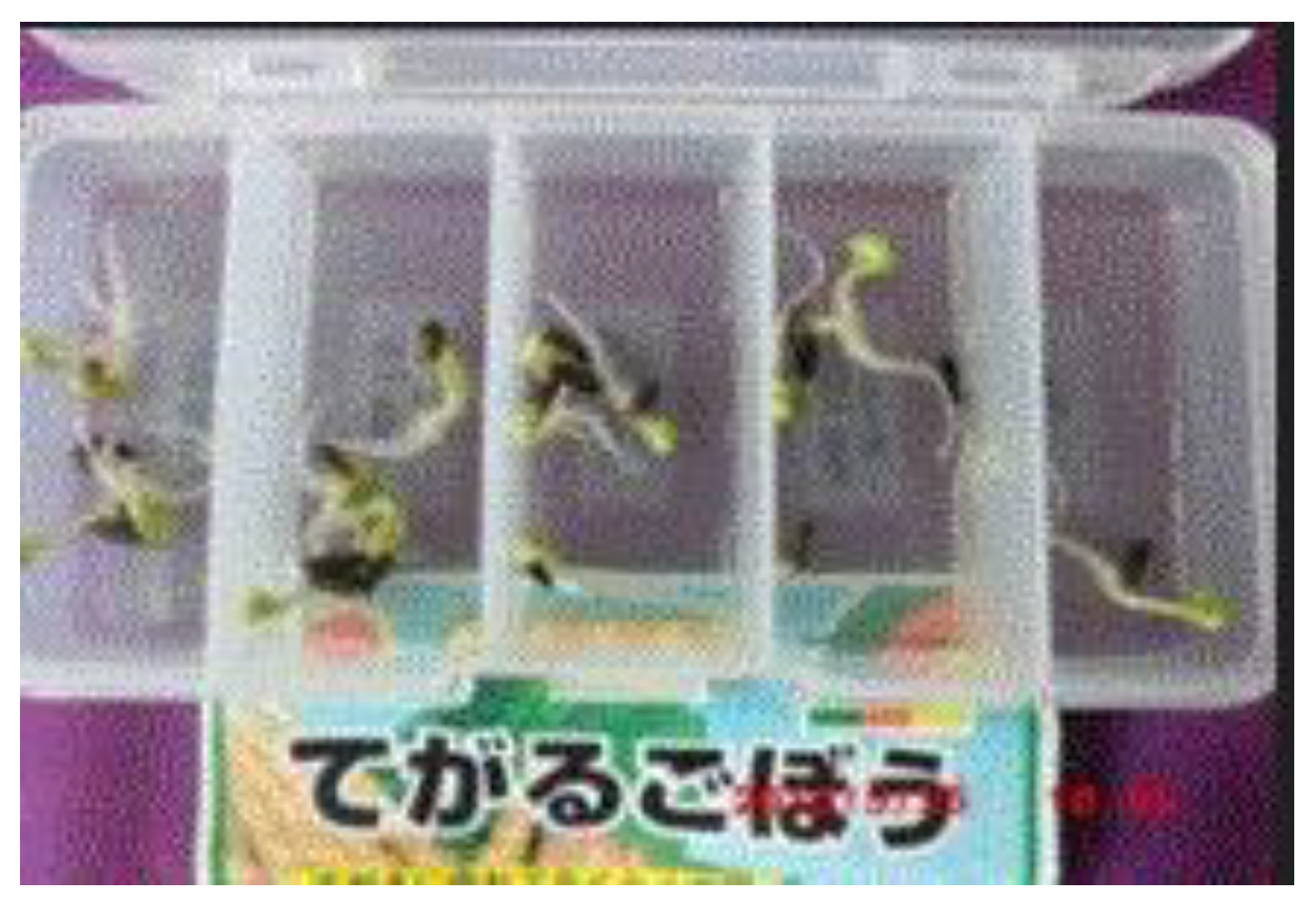 Preprints 121950 g052