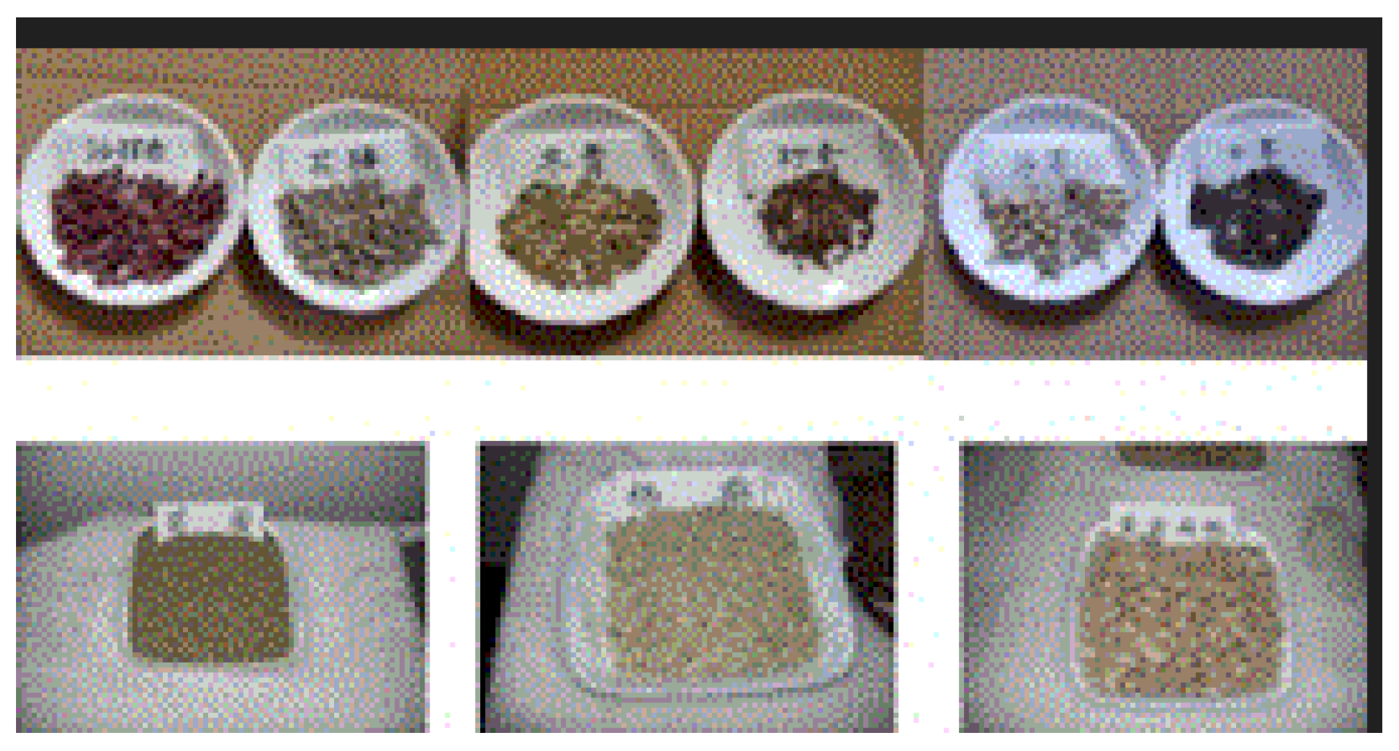 Preprints 121950 g053