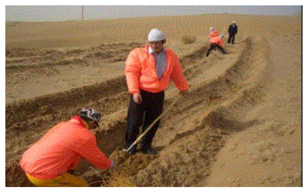 Preprints 121950 g055