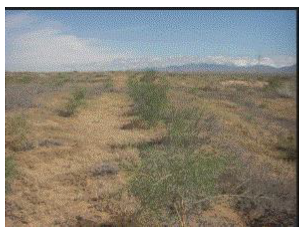 Preprints 121950 g057