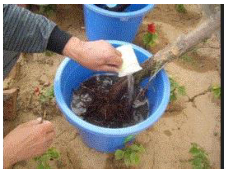 Preprints 121950 g060