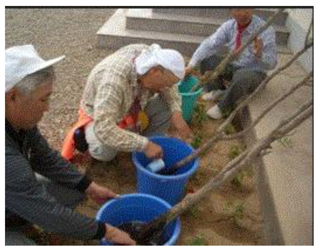 Preprints 121950 g061