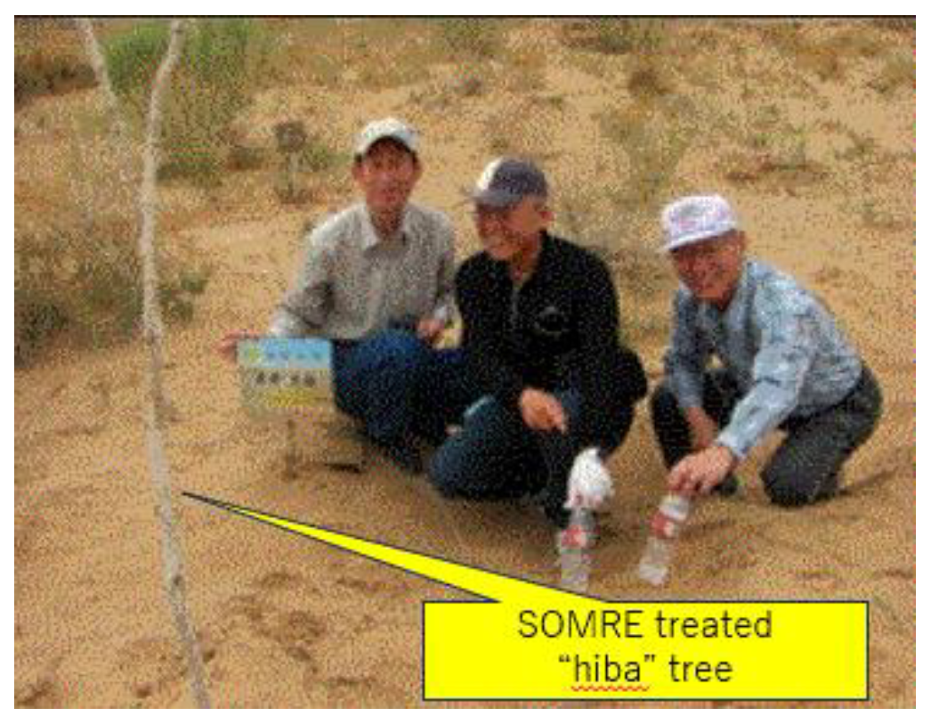 Preprints 121950 g062