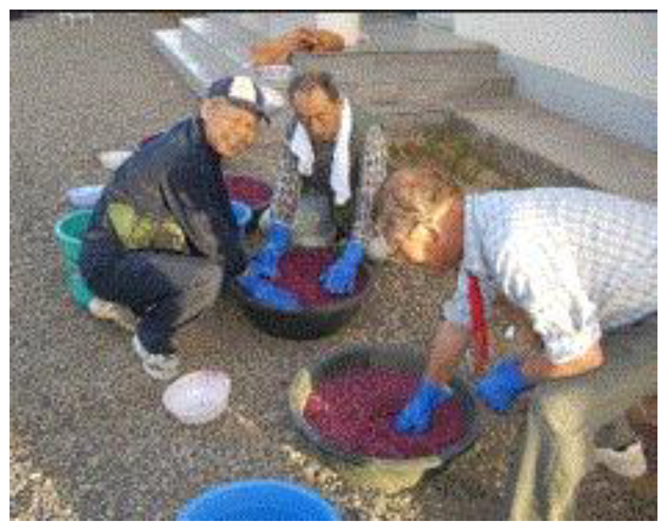 Preprints 121950 g063