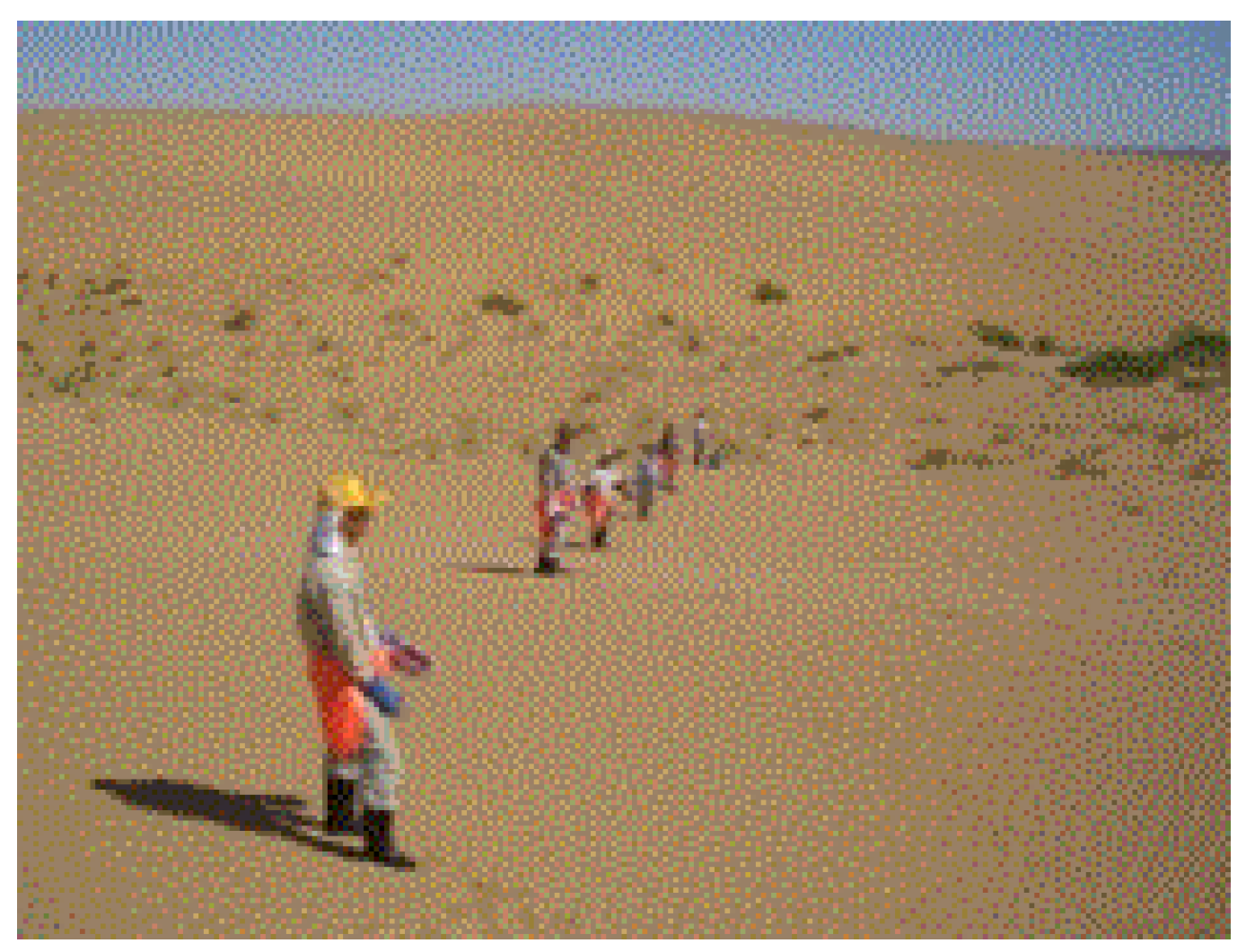 Preprints 121950 g064