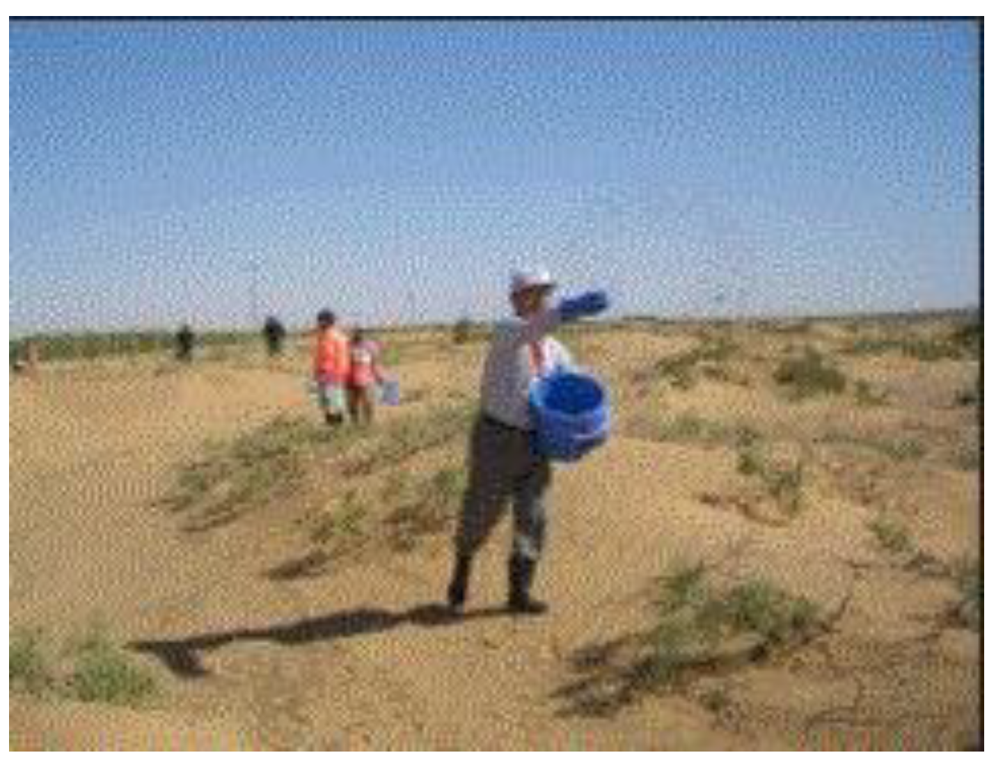 Preprints 121950 g065