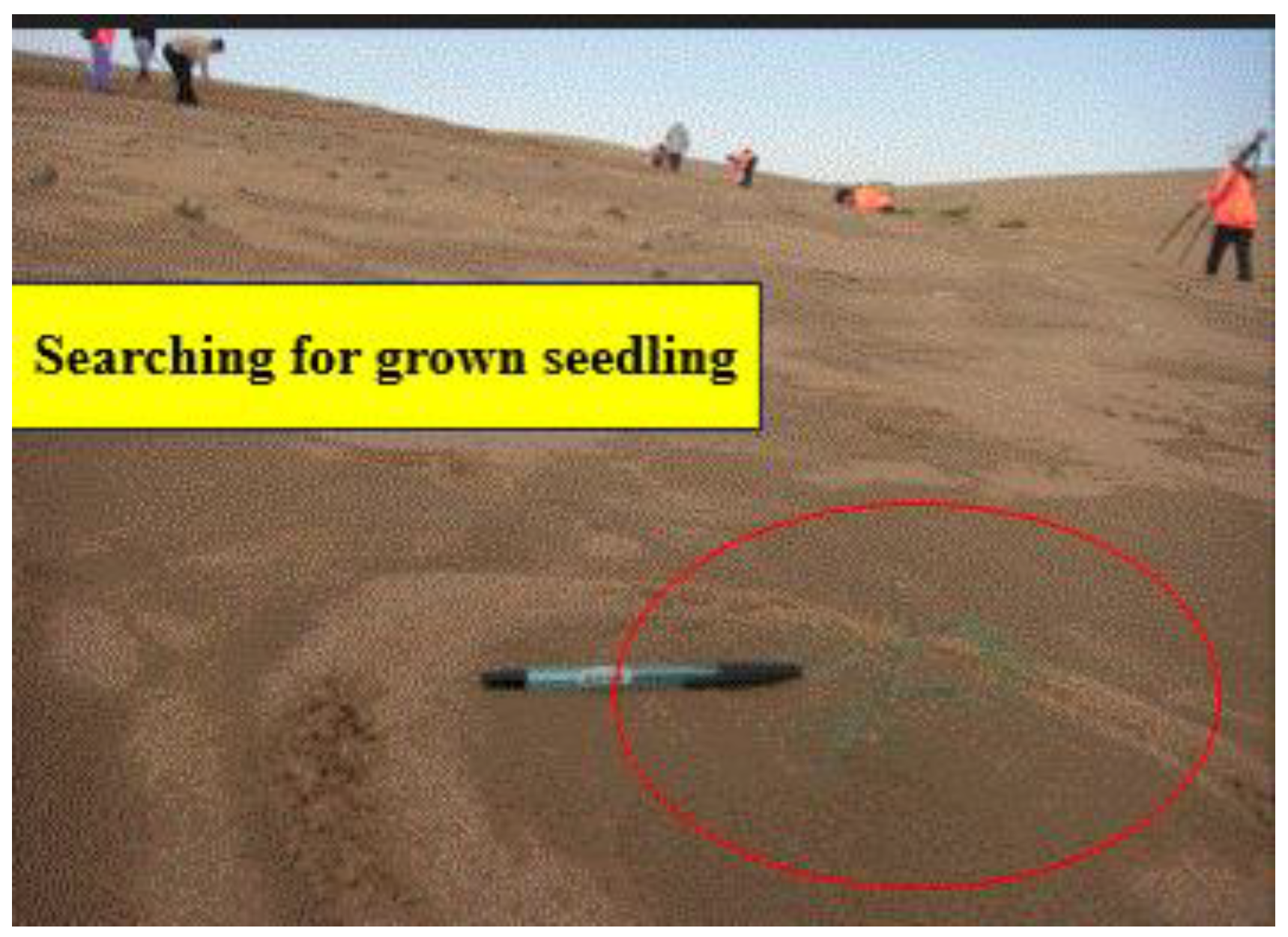 Preprints 121950 g067