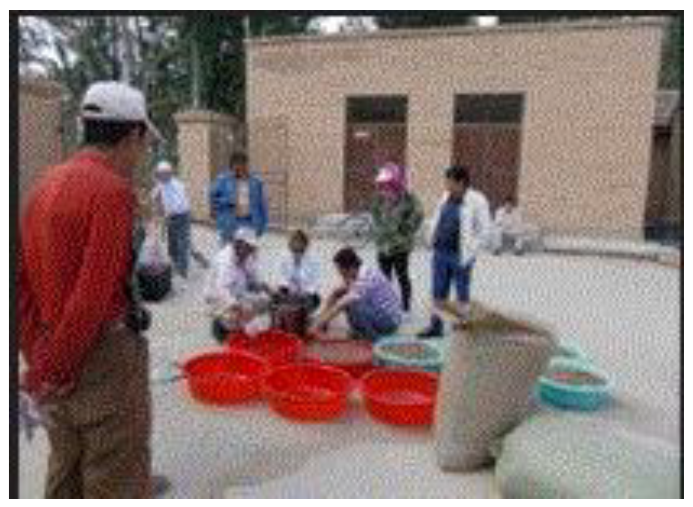 Preprints 121950 g068