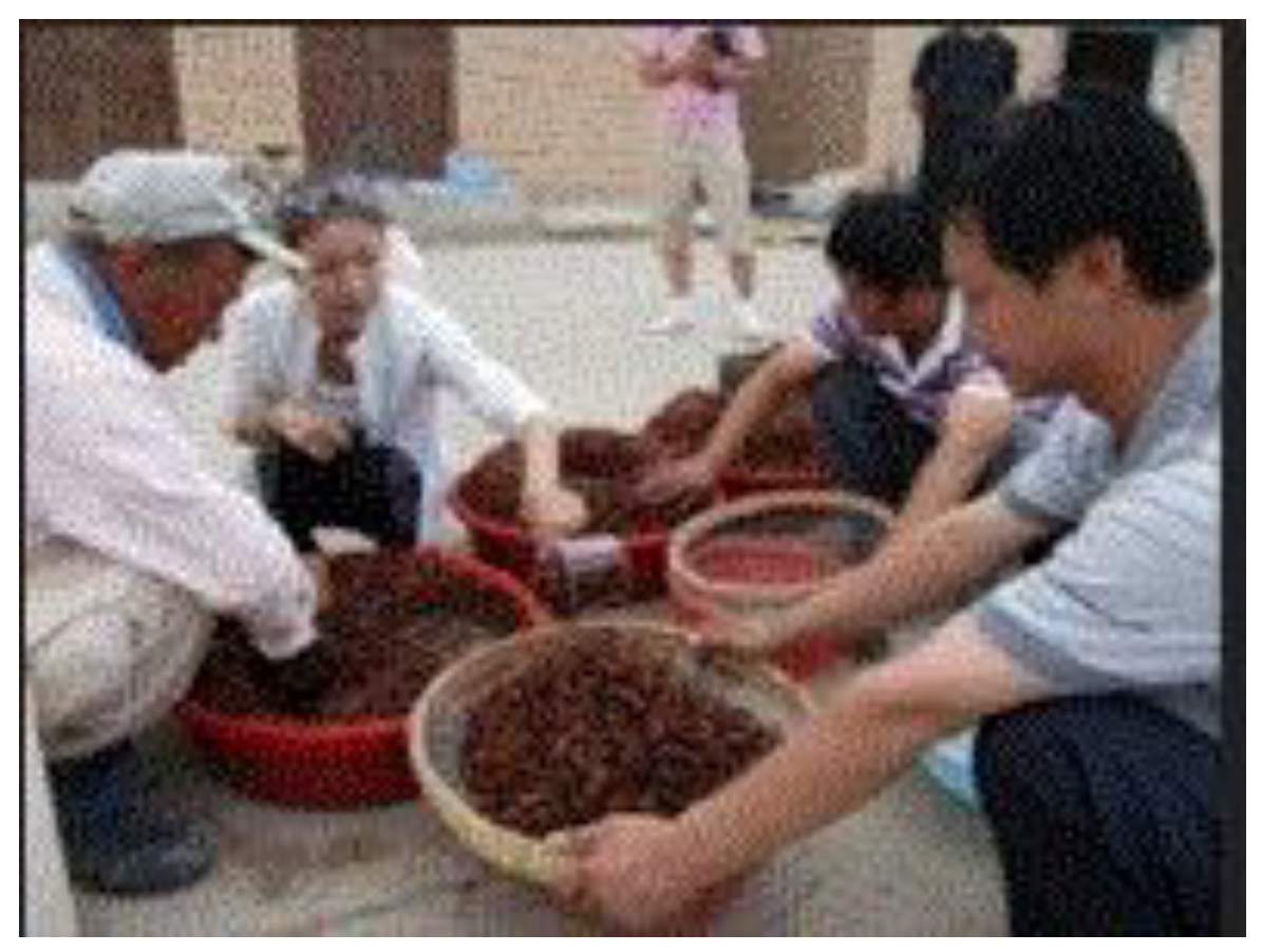 Preprints 121950 g069