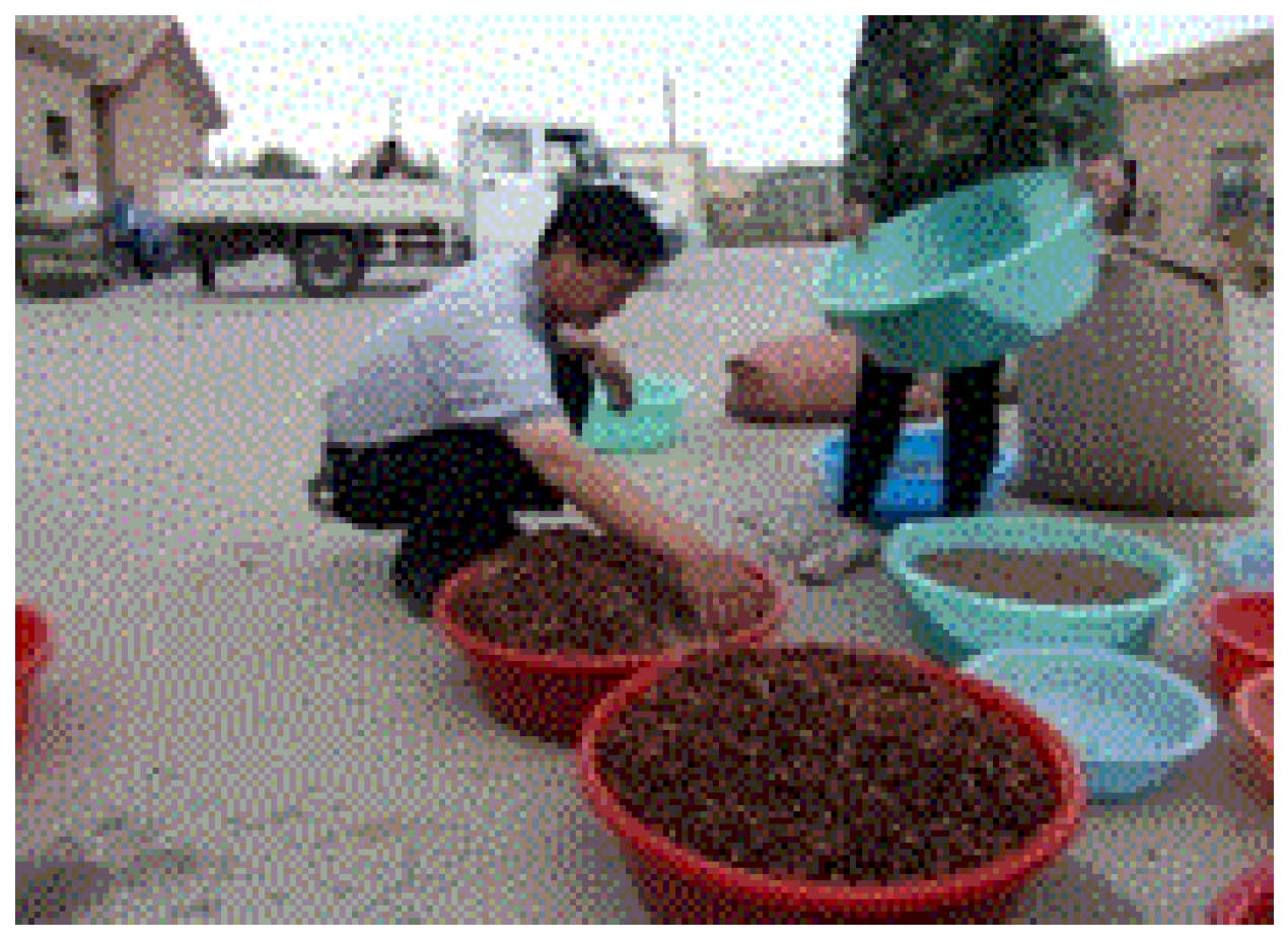 Preprints 121950 g070