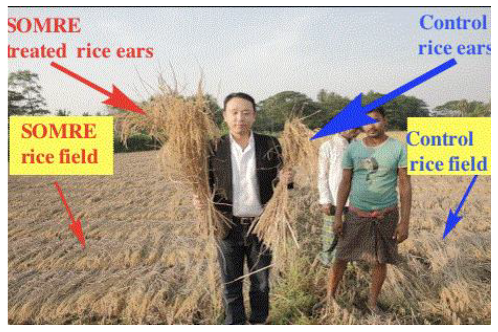 Preprints 121950 g073