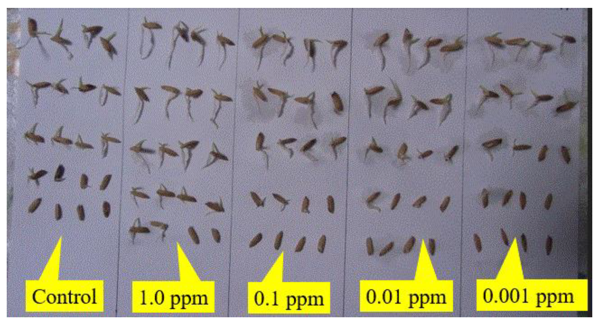 Preprints 121950 g075