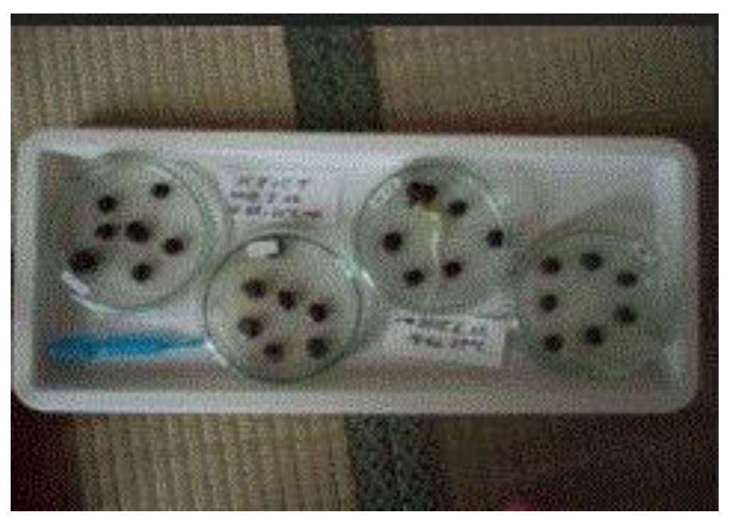 Preprints 121950 g076