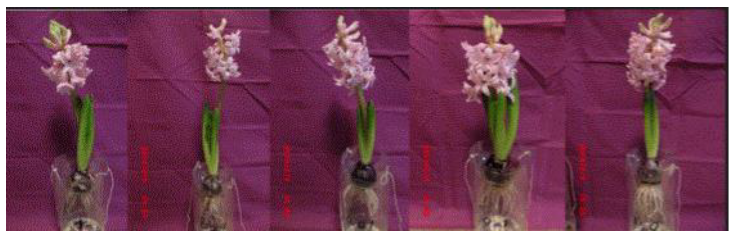 Preprints 121950 g084