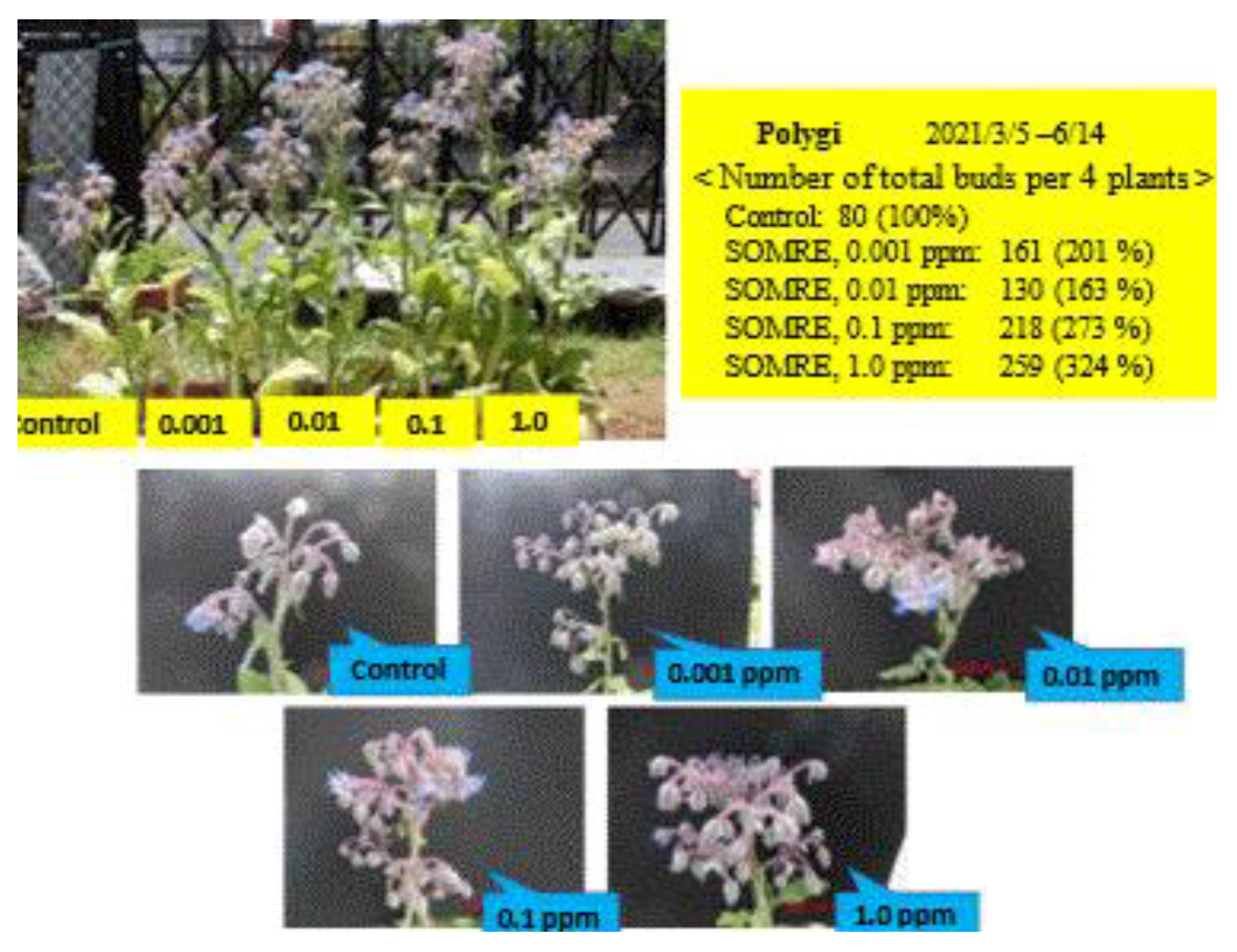 Preprints 121950 g085