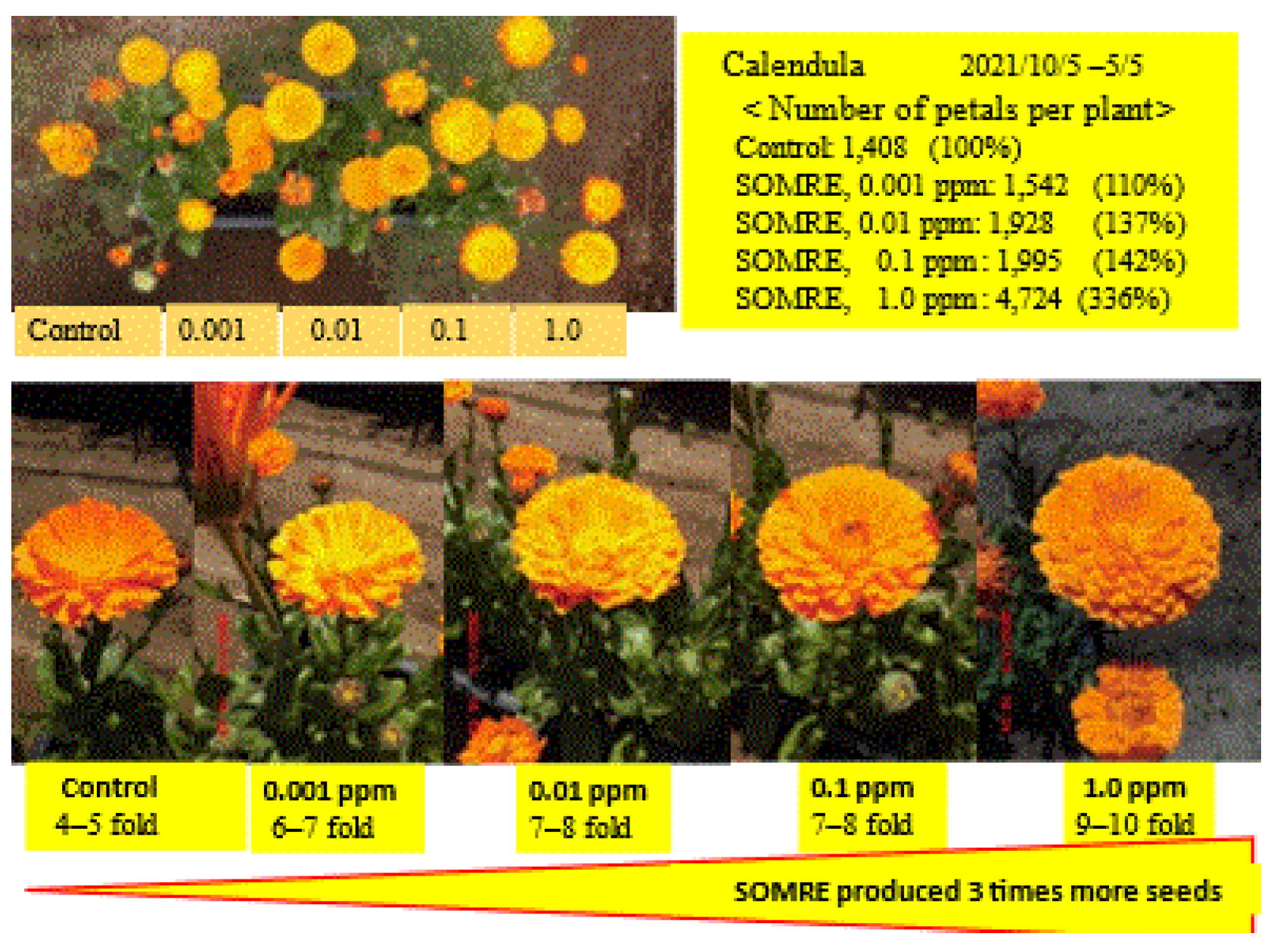Preprints 121950 g086