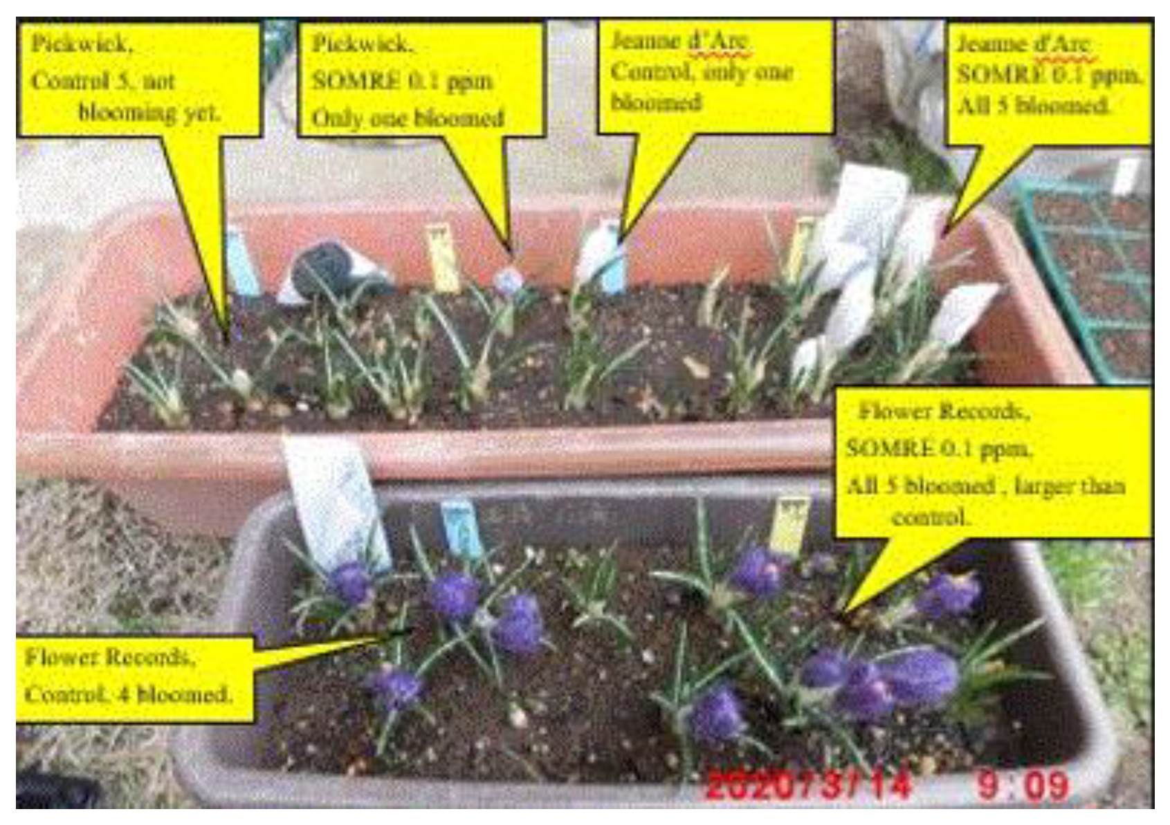 Preprints 121950 g087