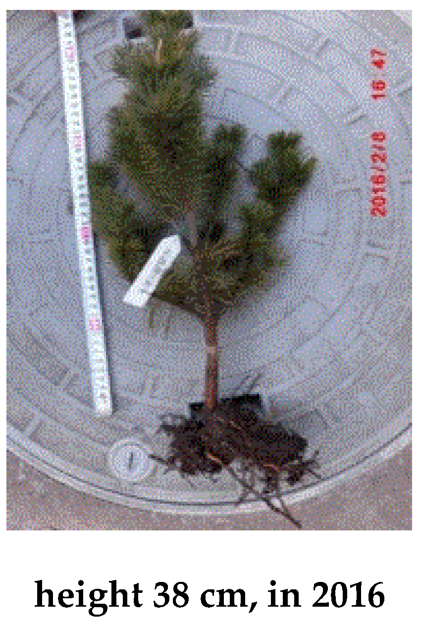 Preprints 121950 g088