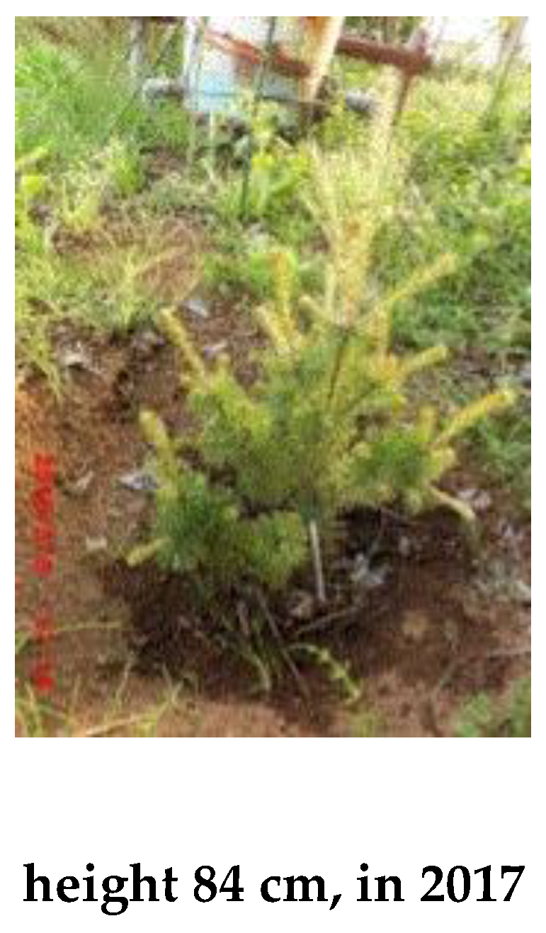 Preprints 121950 g089