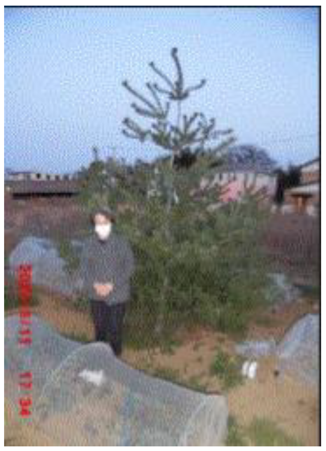 Preprints 121950 g090