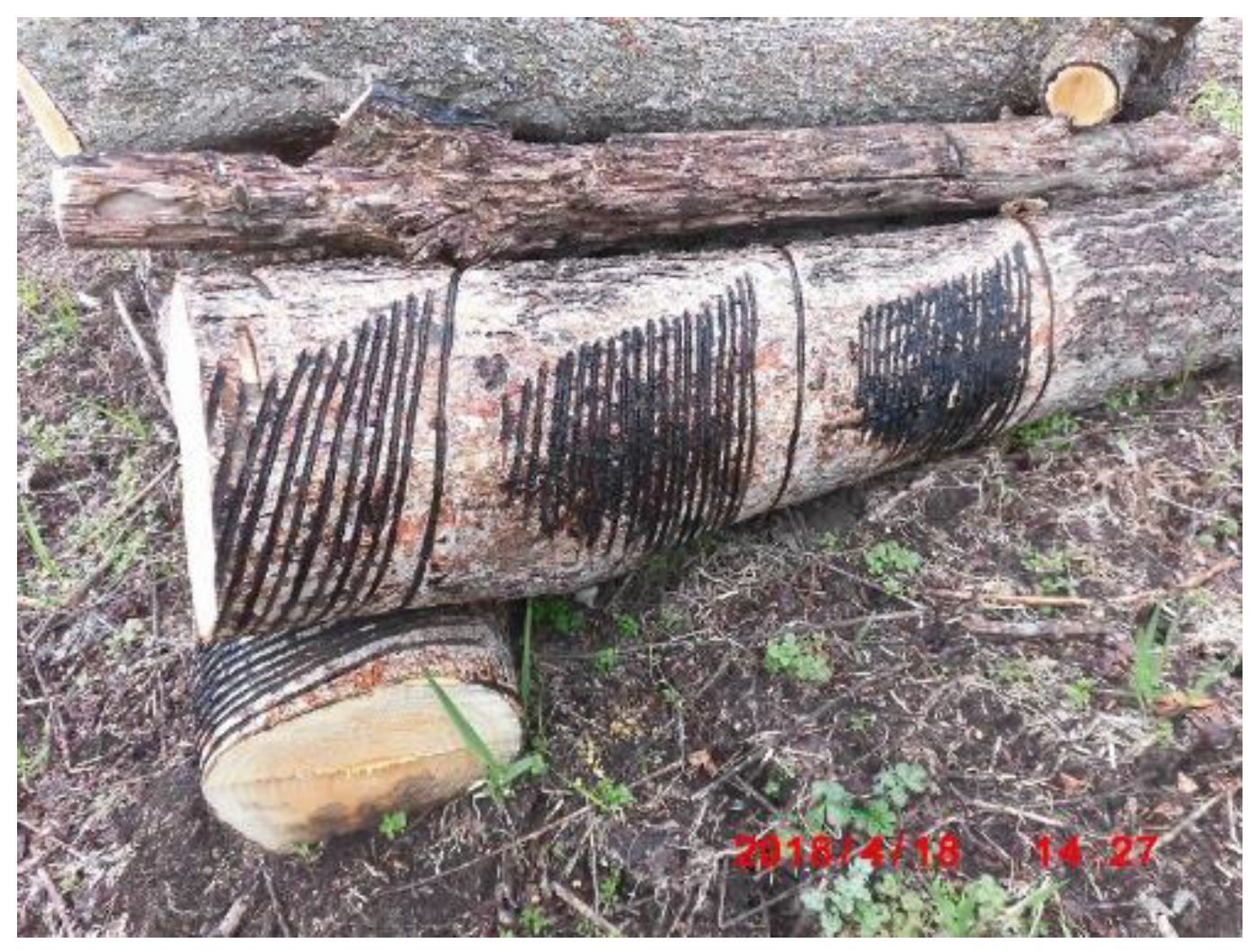 Preprints 121950 g091