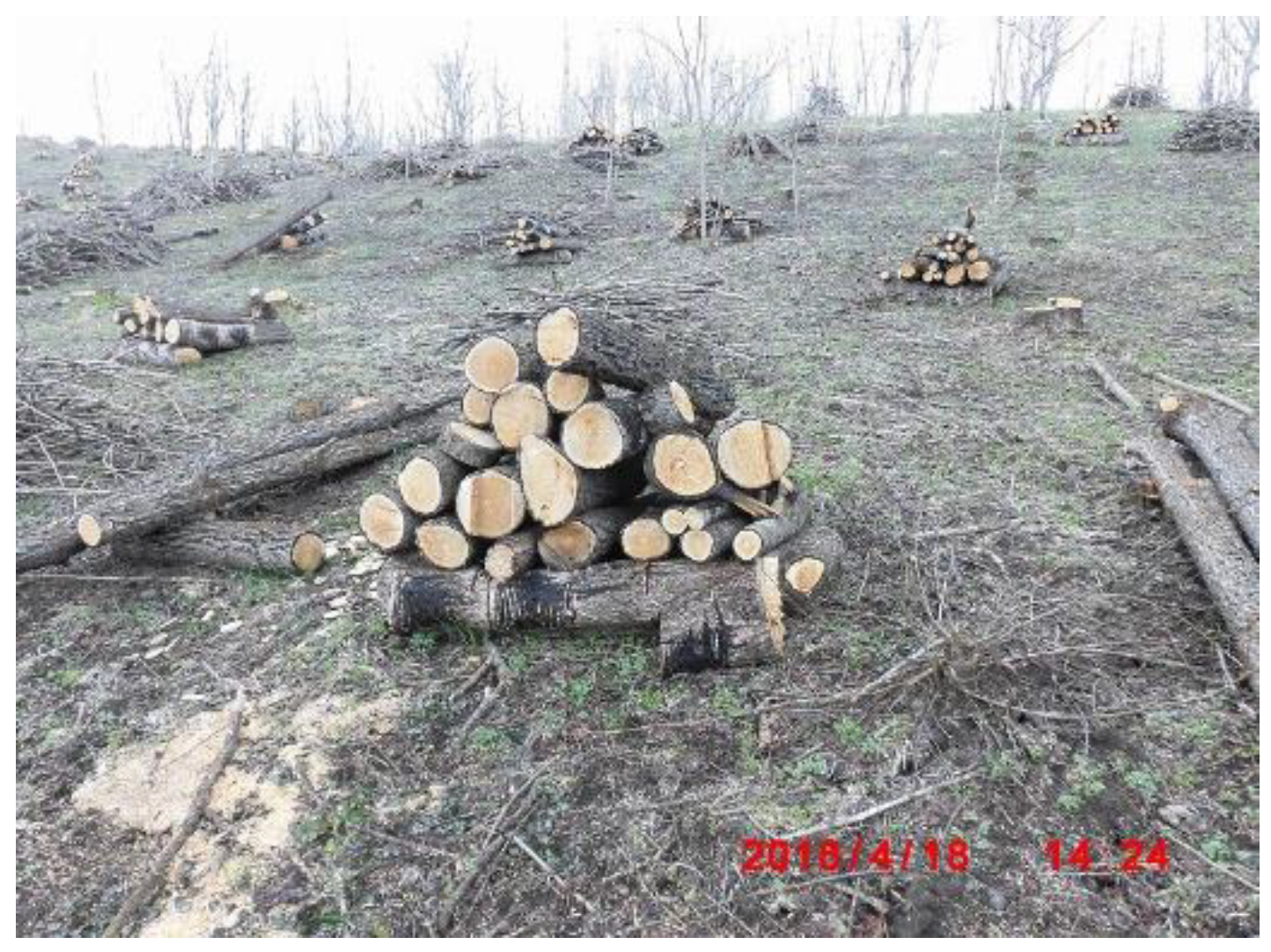 Preprints 121950 g092