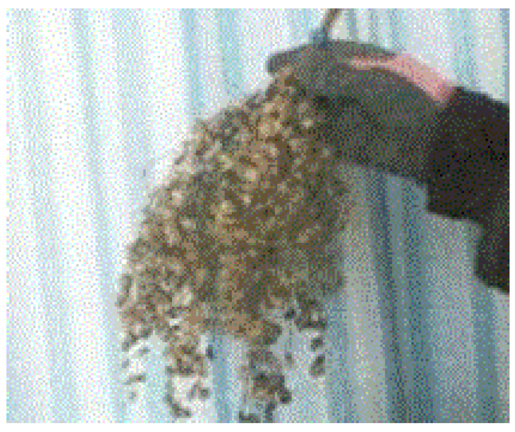 Preprints 121950 g093