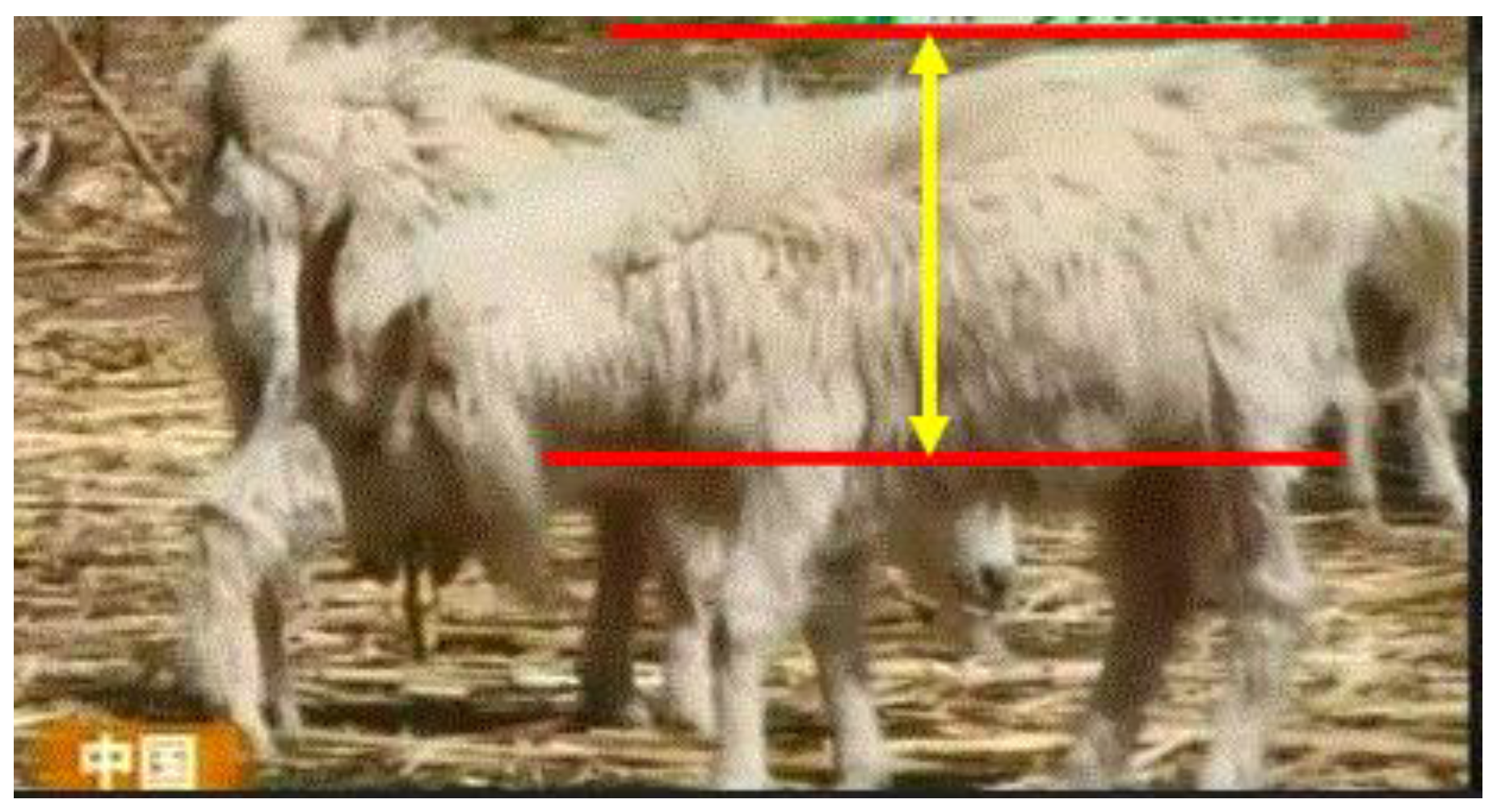 Preprints 121950 g095