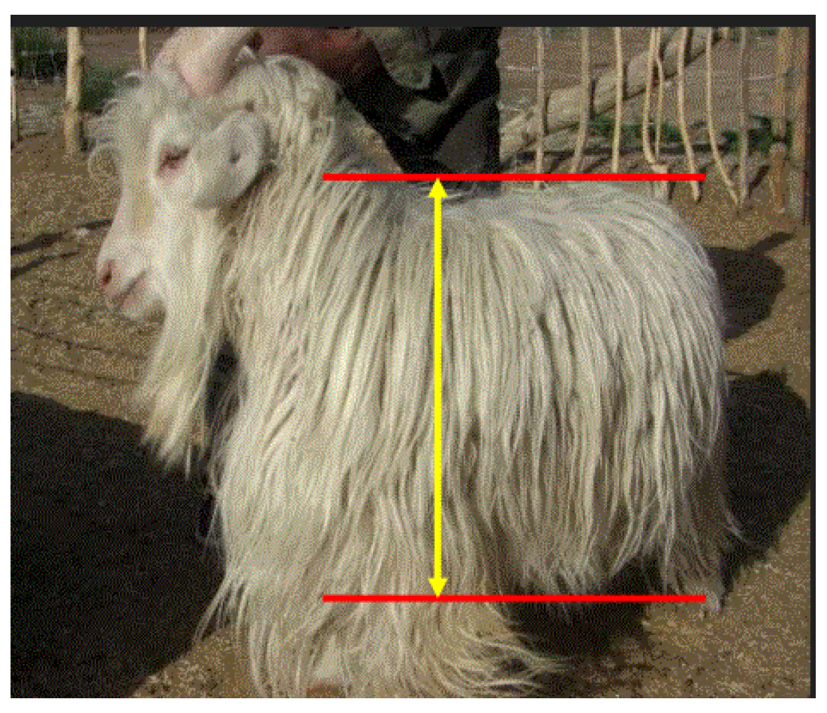 Preprints 121950 g096