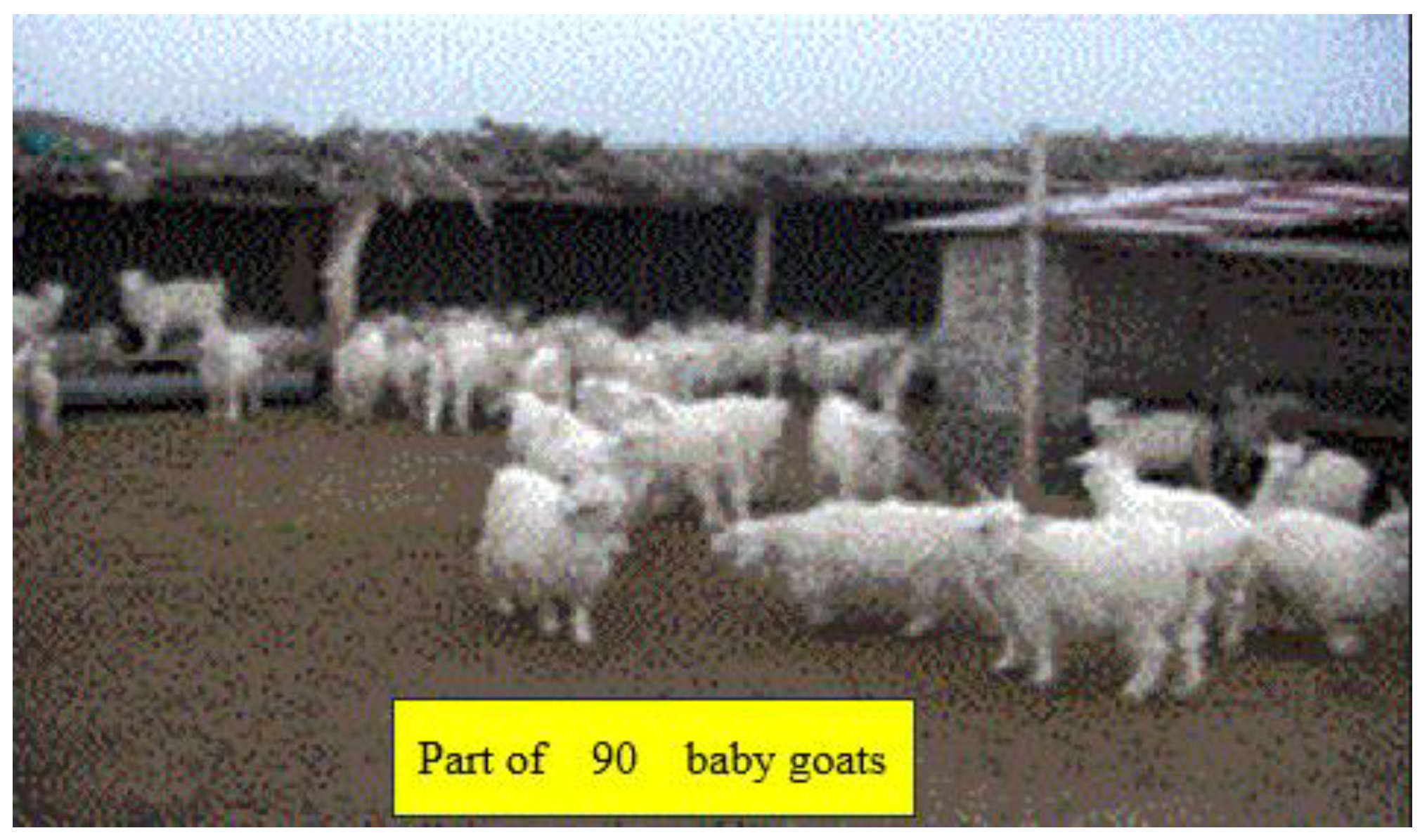 Preprints 121950 g097