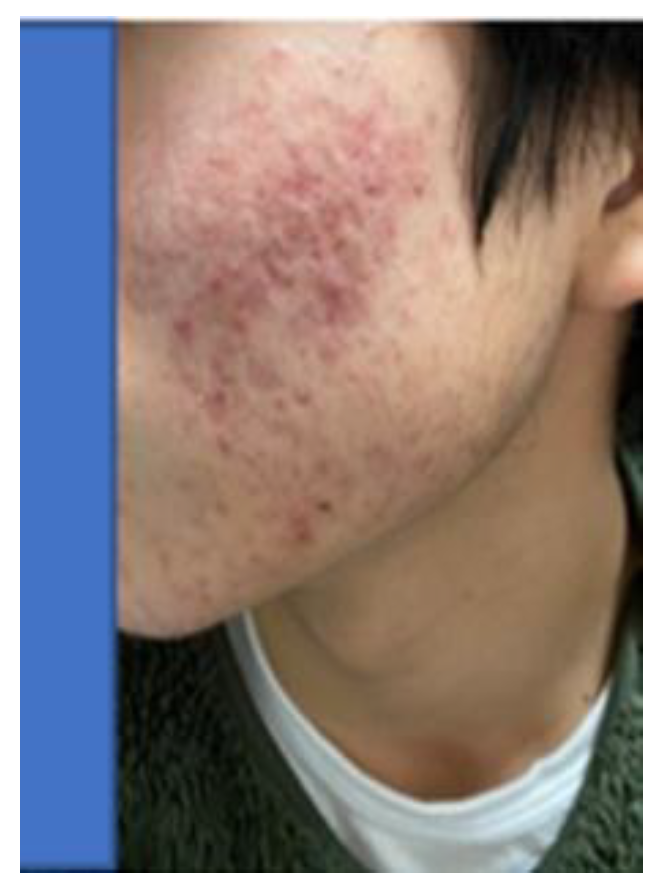 Preprints 121950 g102