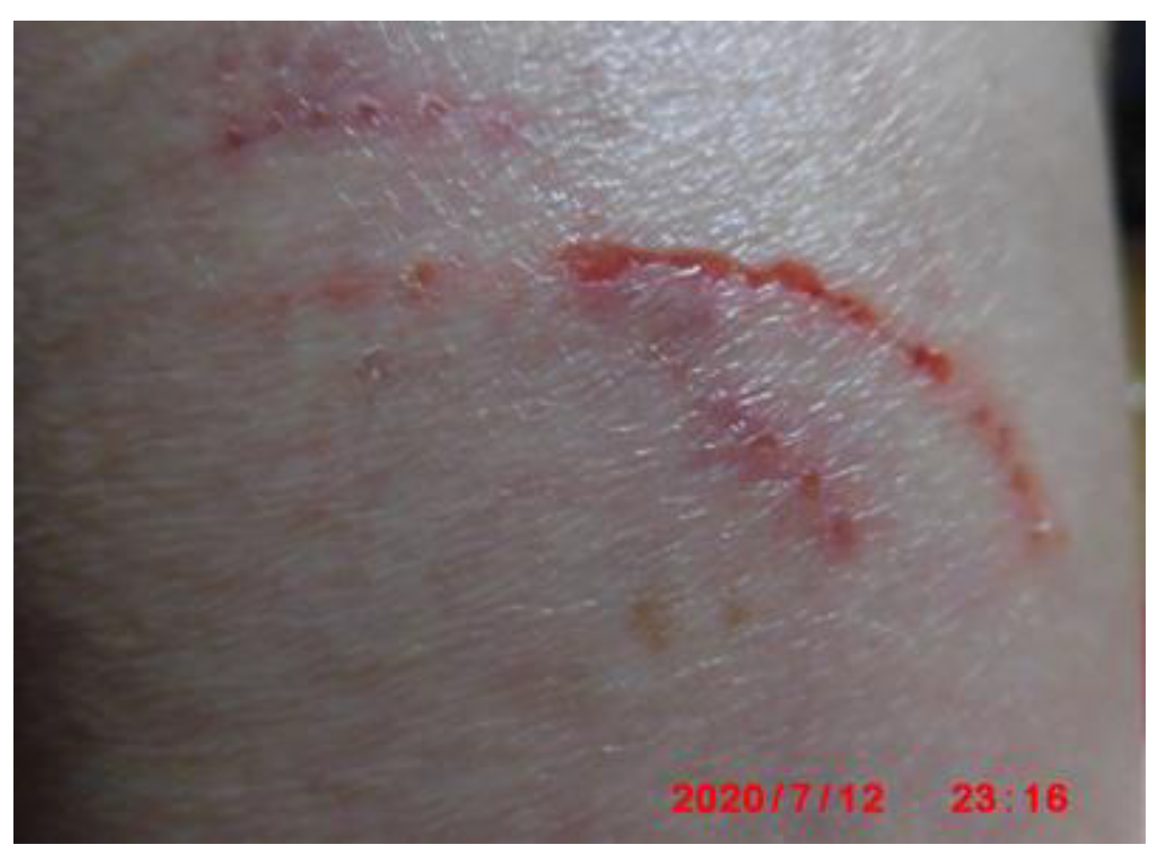 Preprints 121950 g105