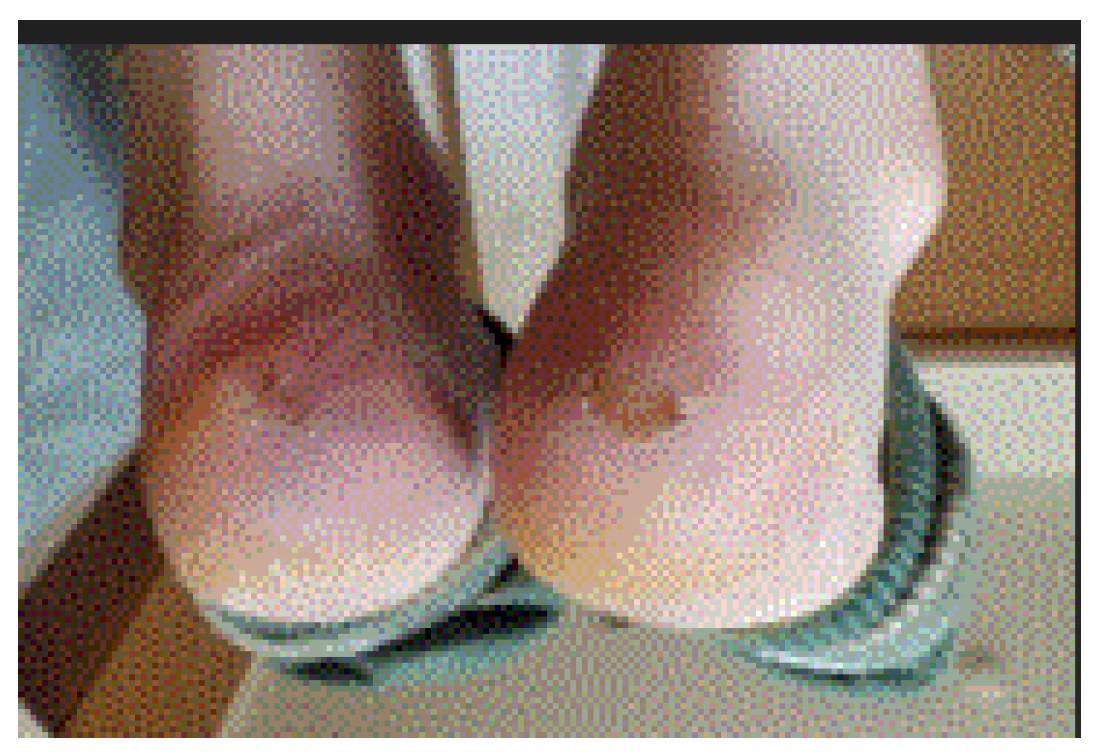 Preprints 121950 g108