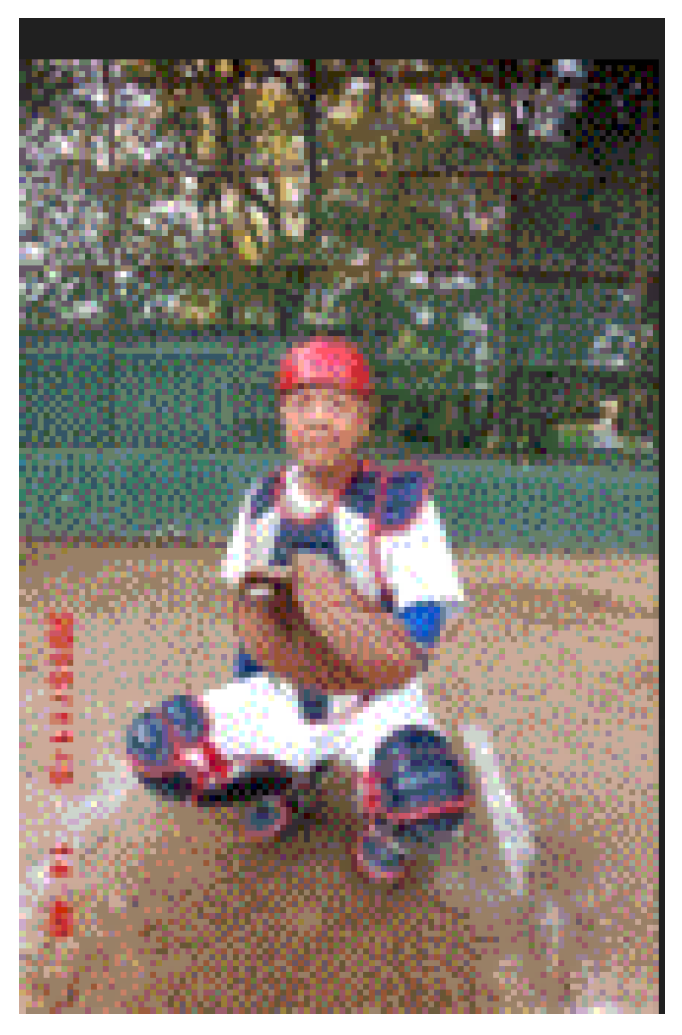 Preprints 121950 g109