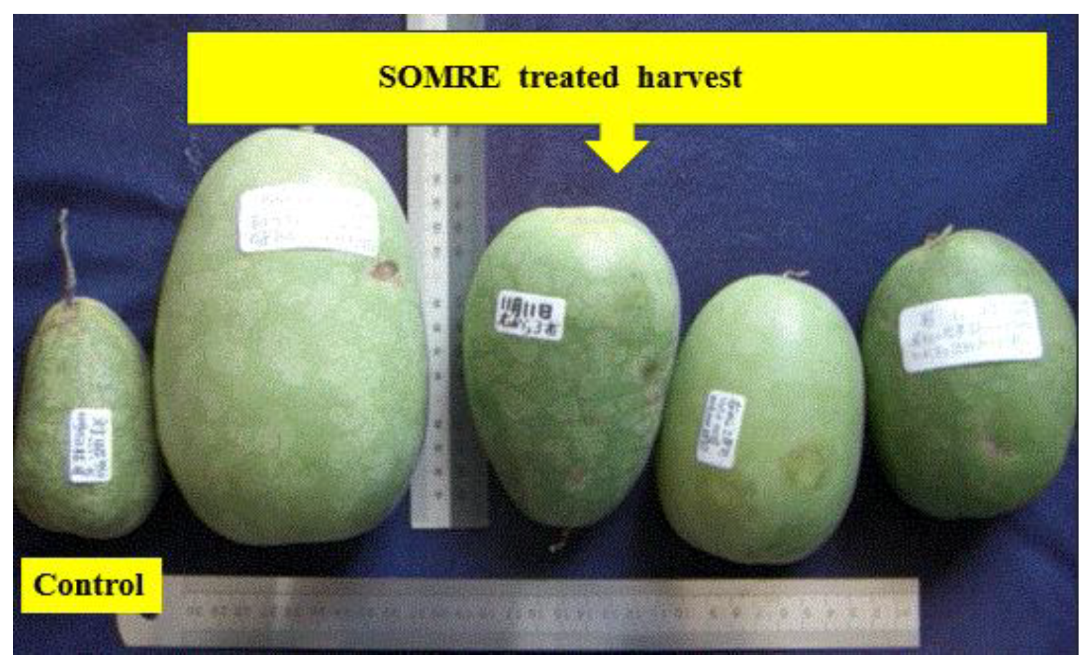 Preprints 121950 g111