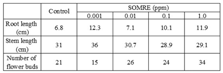 Preprints 121950 i025