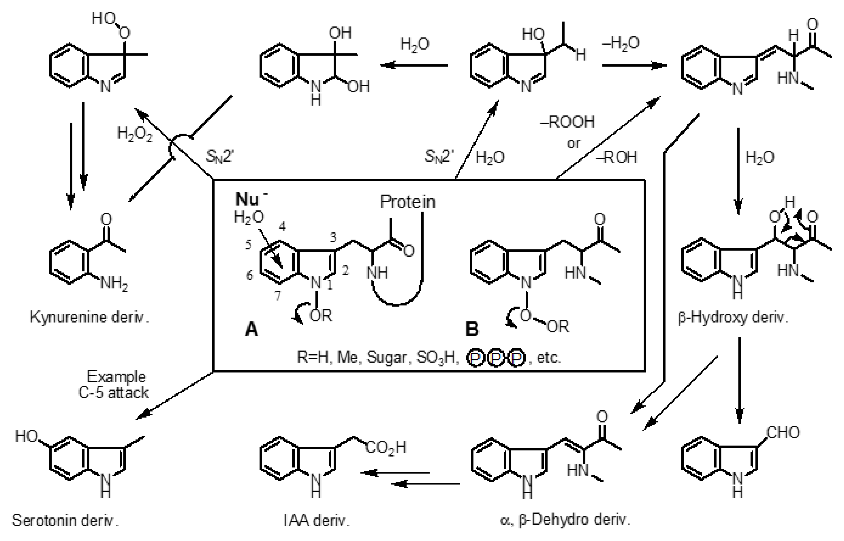 Preprints 121950 sch002