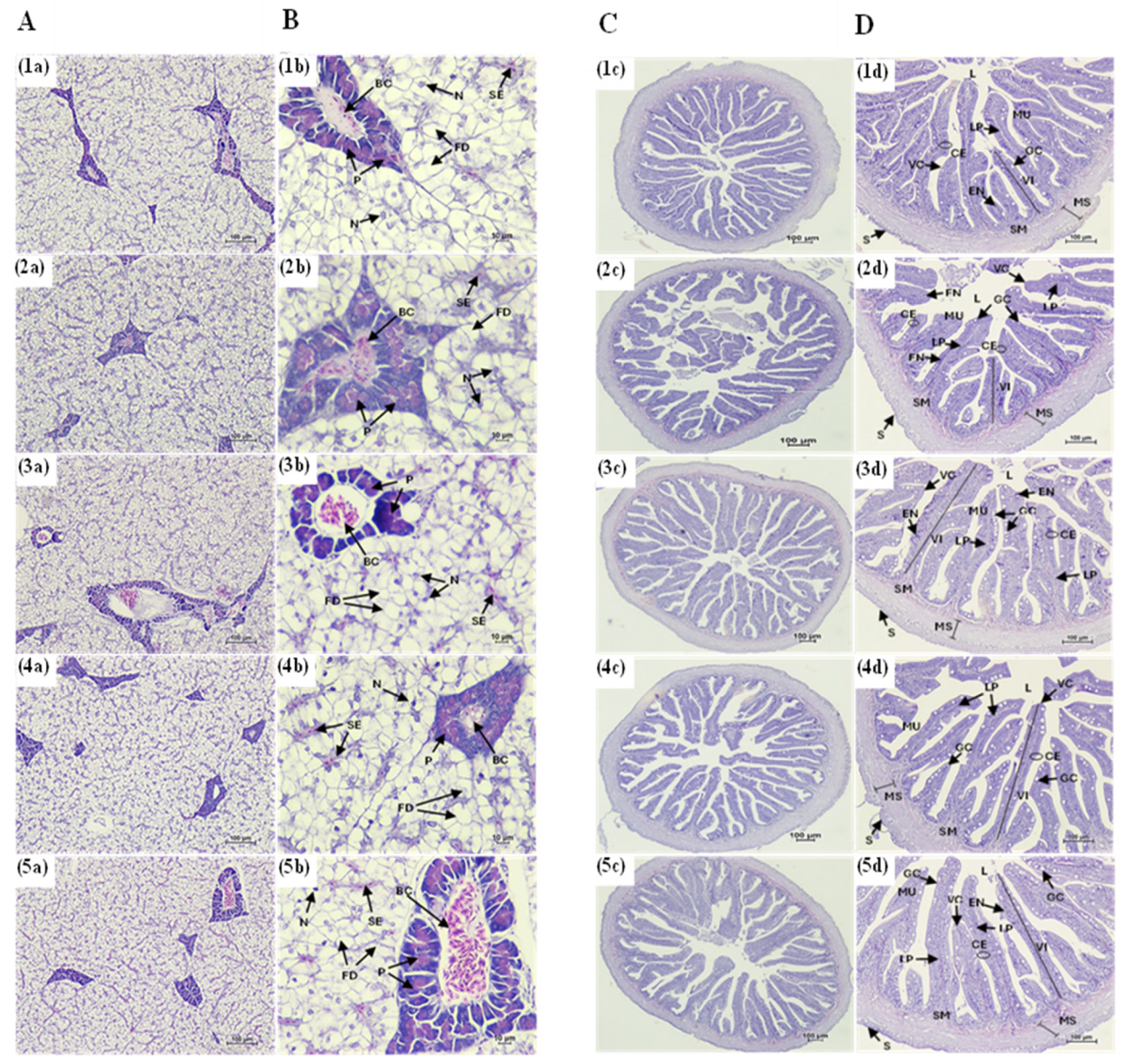 Preprints 179737 g002