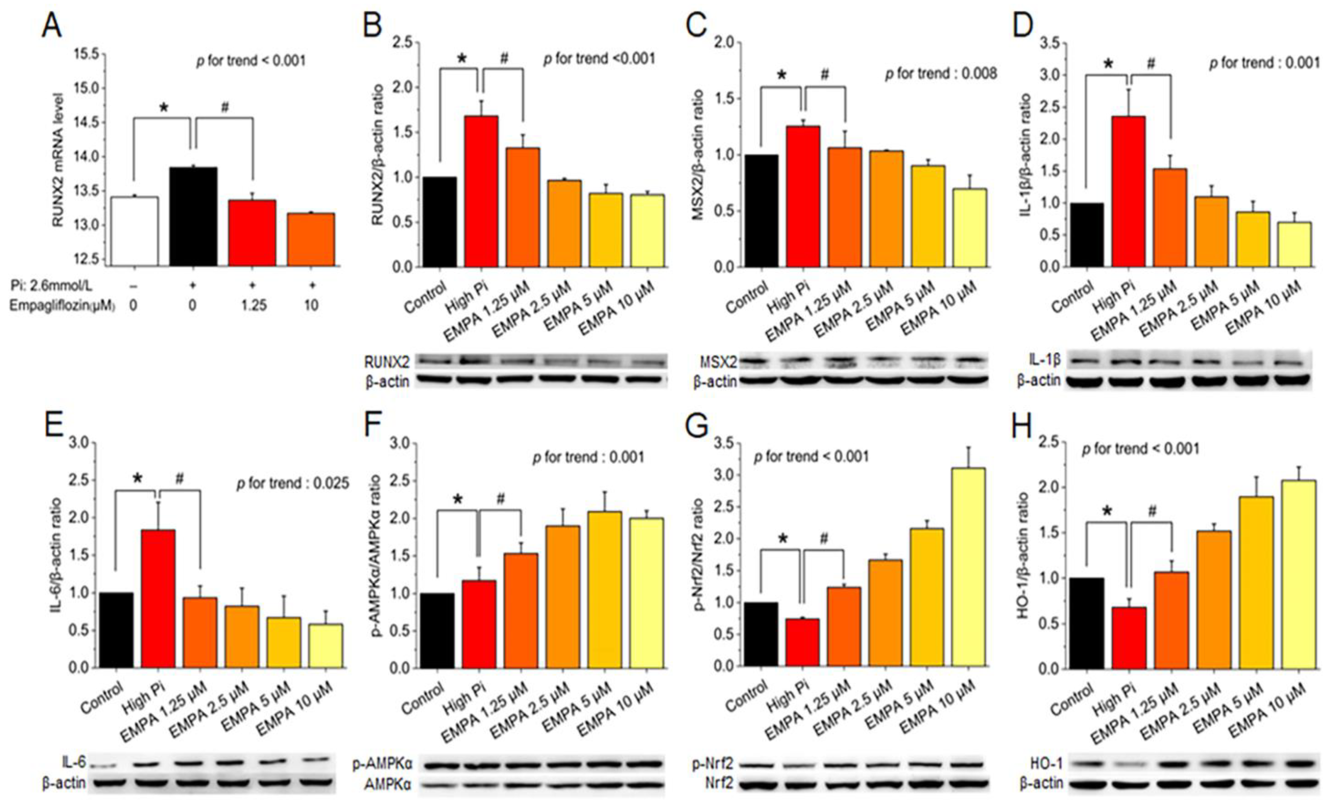Preprints 71838 g002