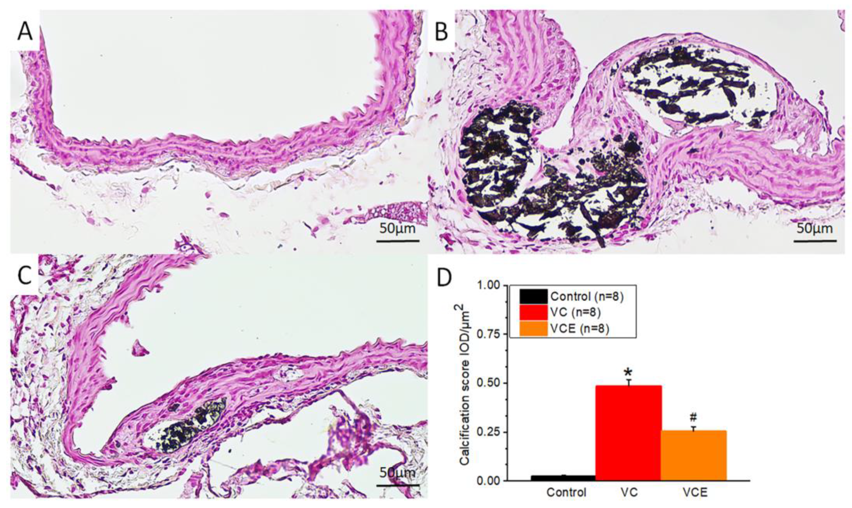 Preprints 71838 g007