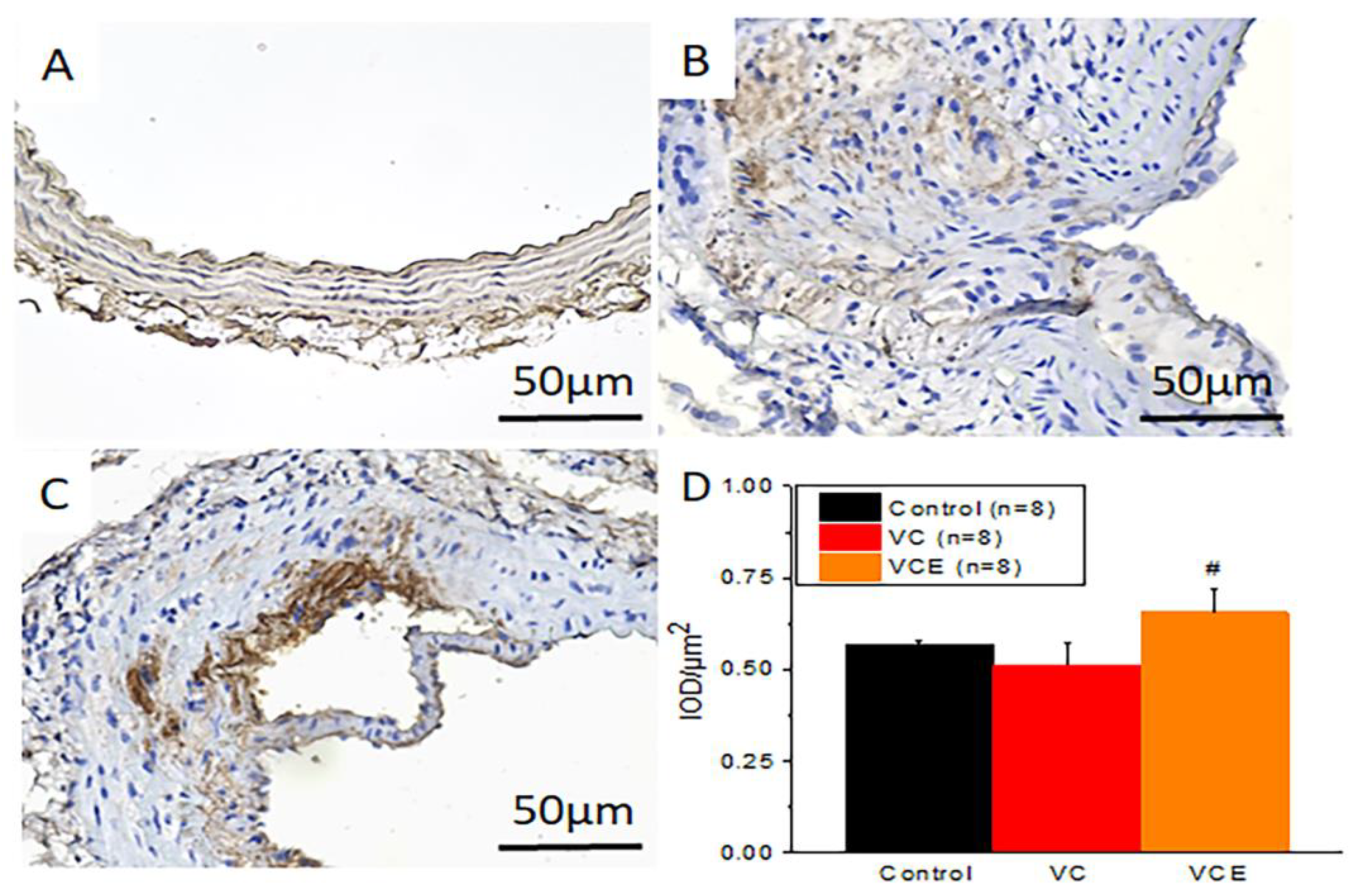 Preprints 71838 g008