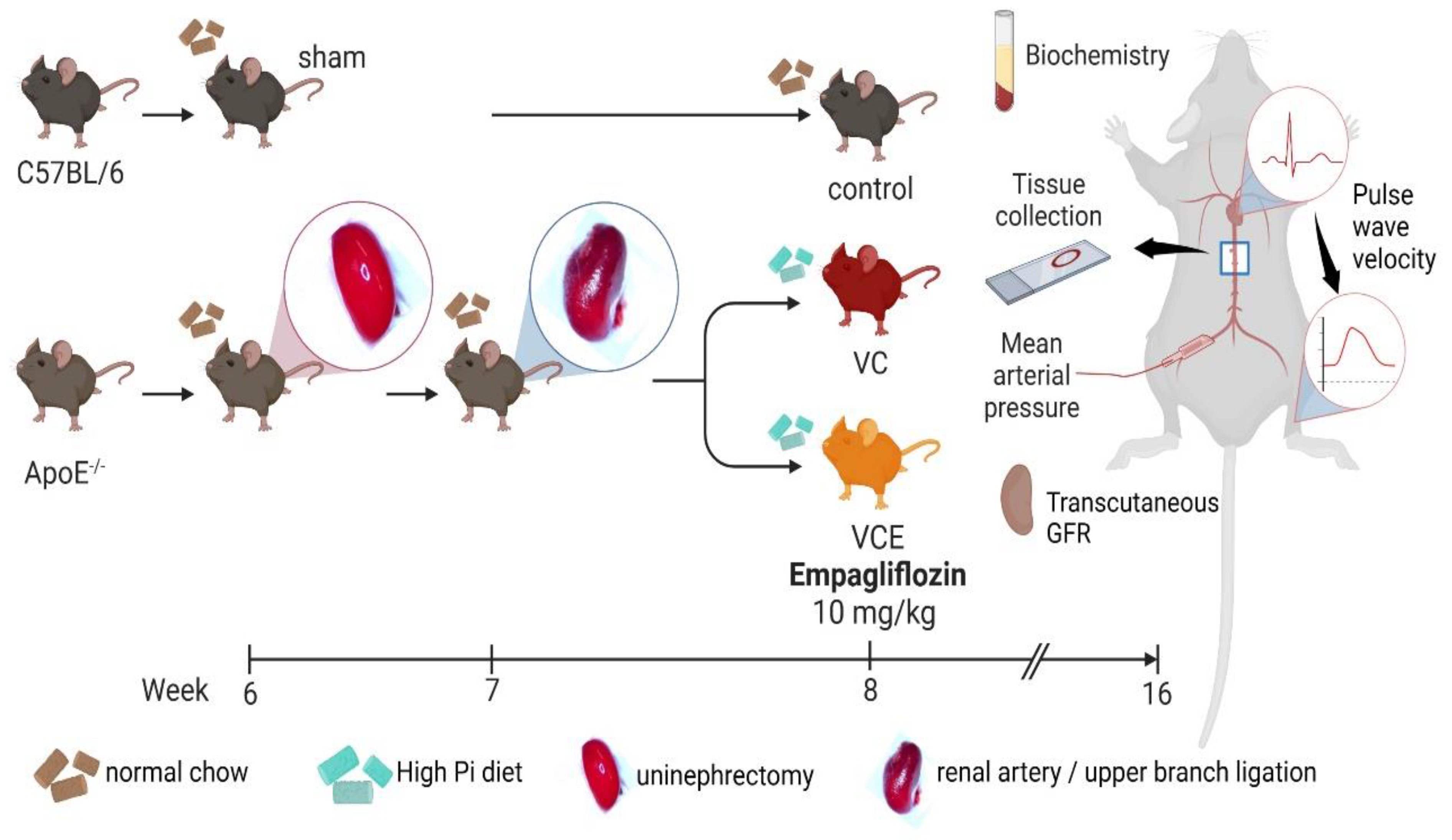 Preprints 71838 g009