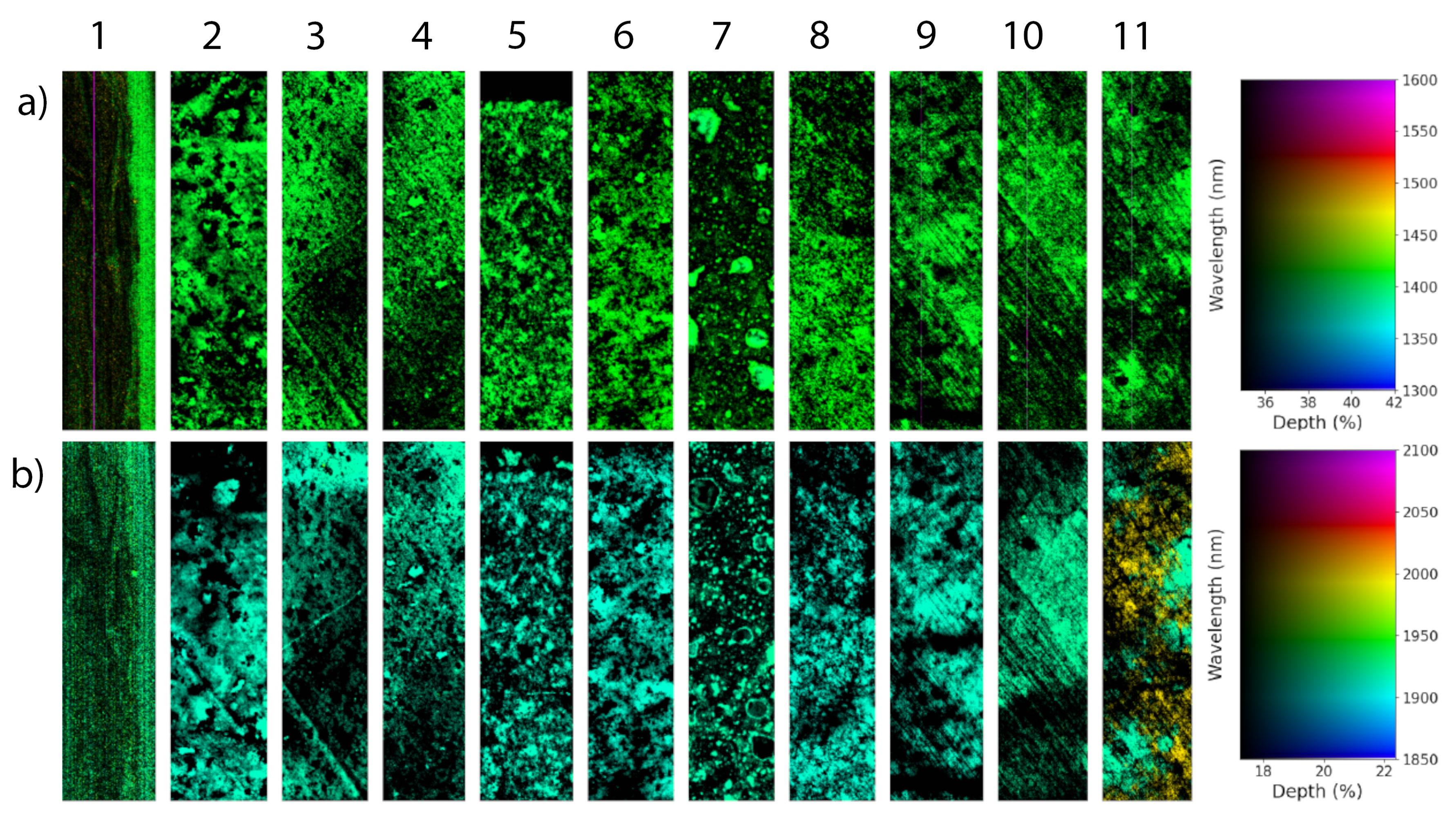 Preprints 158565 g0a1